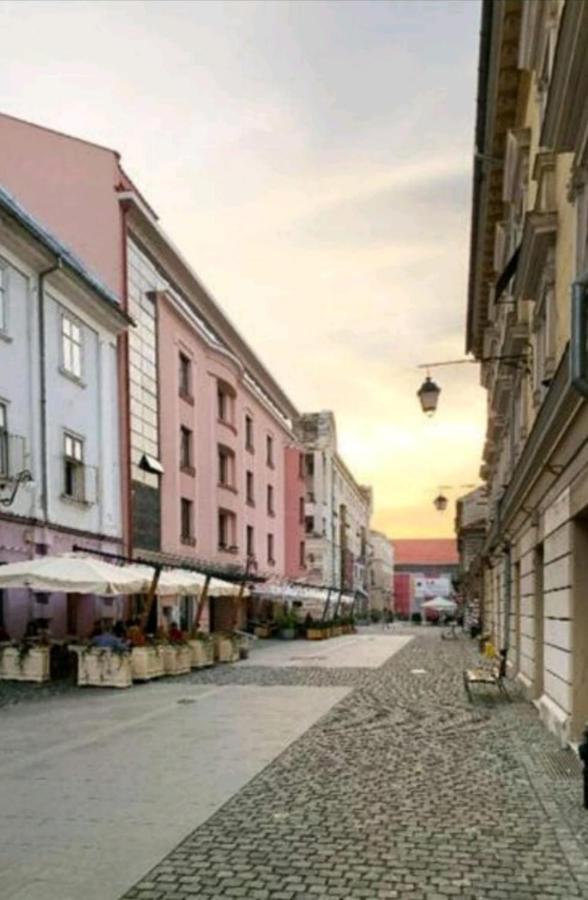 Savoya Residence Timișoara Zewnętrze zdjęcie